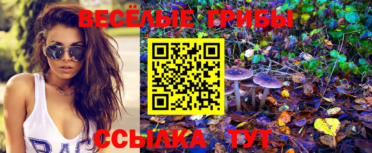 Галлюциногенные грибы MAGIC MUSHROOMS  Вход с VPN  Галлюциногенные грибы мицелий  Муром 