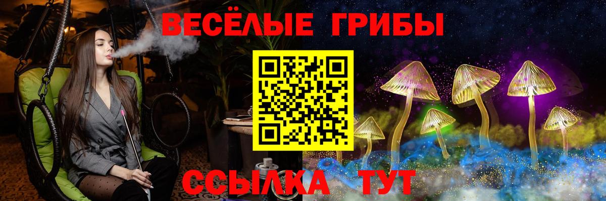 Псилоцибиновые грибы ЛСД Муром